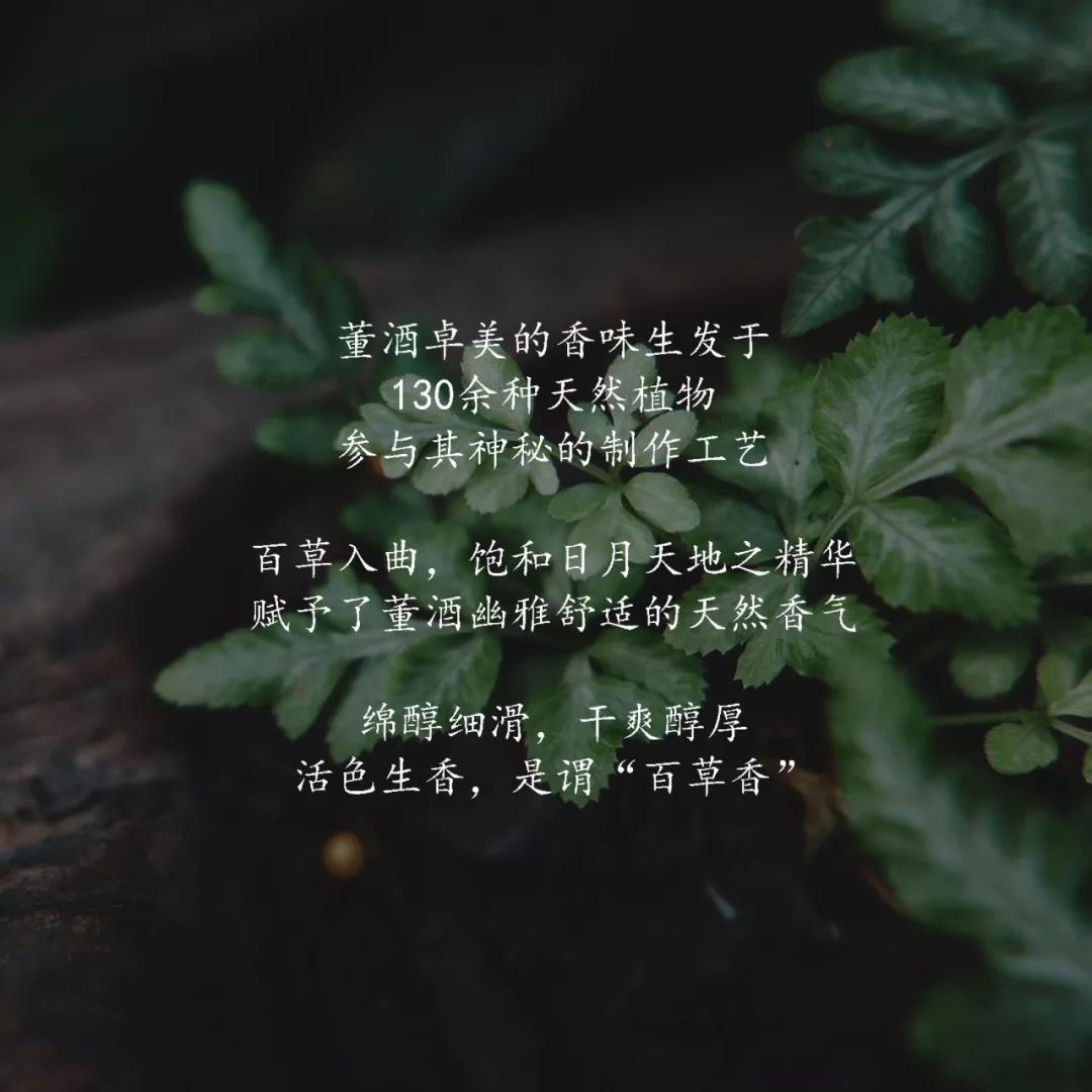 技术帖 | 何为董香